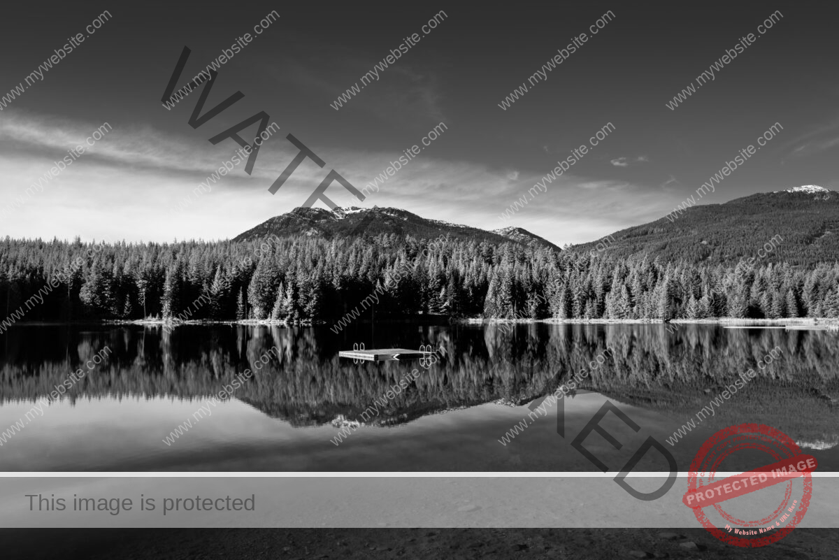 Grayscale shot of a beautiful scenery reflecting in the Lost Lake, Whistler, BC Canada
