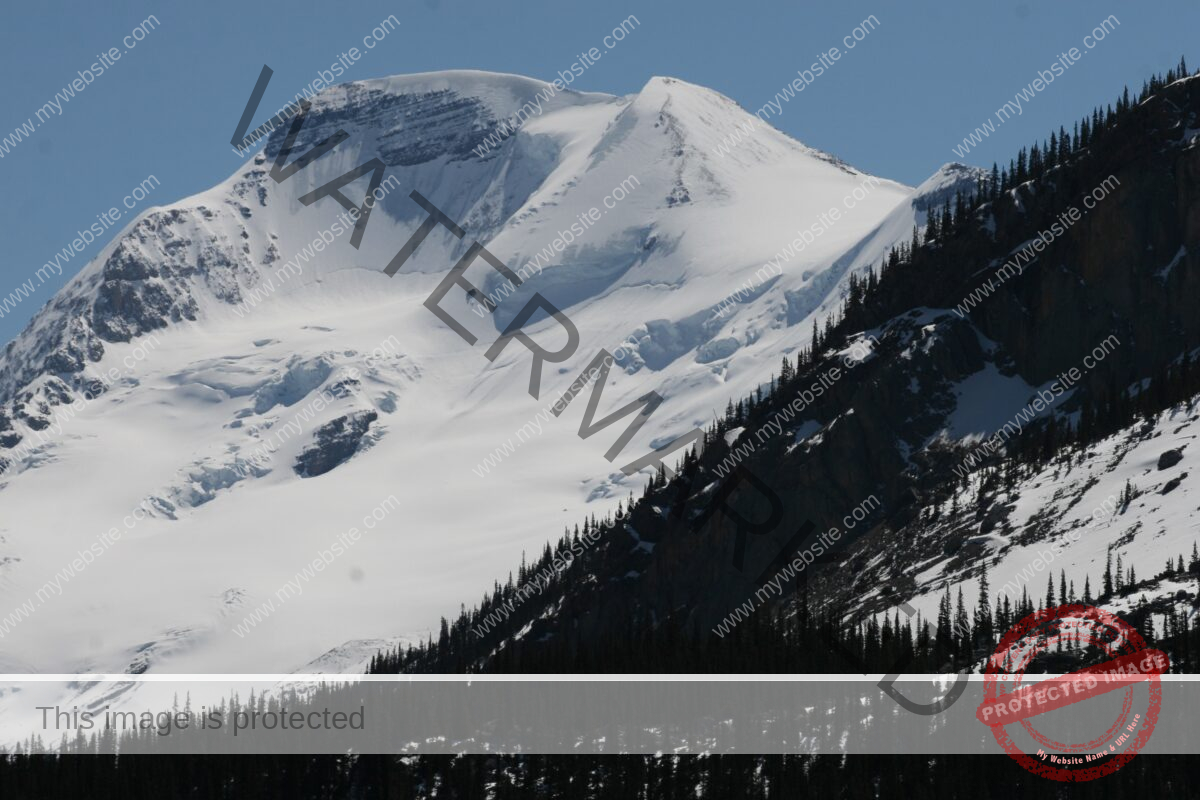 Mountains covered in snow and trees in Banff and Jasper National Parks